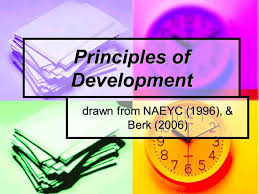 Principles Of Development Drawn From Naeyc 1996 Berk