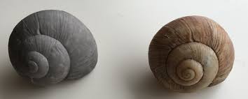Bastelbeton mit etwas wasser anrühren, bis er eine cremige konsistenz. Beton Giessformen Studer Kunststoffe Gmbh Betonformen