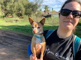 🚨Frosted Faker Alert🚨 Tammy is 11 and is a dainty little girl who is a  pro at getting humans to pick her up and carry her. This is actual (not  spectacular quality)