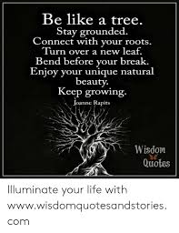 Quotes …you must live in the present, launch yourself on every wave, find your eternity in each moment.. Be Like A Tree Stay Grounded Connect With Your Roots Turn Over A New Leaf Bend Before Your Break Enjoy Your Unique Natural Beauty Keep Growing Joanne Rapits Wisdom Quotes Illuminate Your