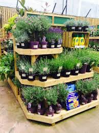 Homebase Home Retail Group Home Improvements Diy Design Centre Concept Store Layout La Garden Center Displays Diy Garden Projects Lawn And Garden