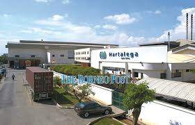 Apply online for walk in interview of 351 medical officer vacancies: Stage Set For Hartalega S Volume Sales Recovery
