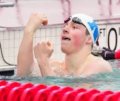 WIAA D2 boys swim and dive: Nicolet, WFB athletes highlight finishes