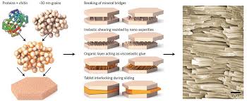 Maybe you would like to learn more about one of these? Frontiers Bioinspired Cementitious Materials Main Strategies Progress And Applications Materials