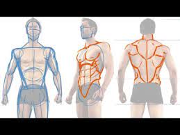 Check spelling or type a new query. How To Draw The Male Figure And Torso Muscles Youtube