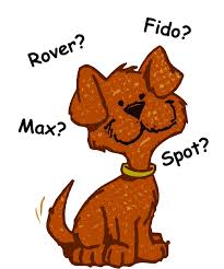 Image result for the most important words in science