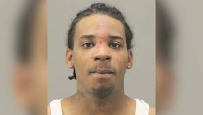 Rockford man arrested for drug offenses, animal cruelty to puppies