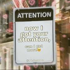 I Want Attention Meme Reaction Picture Wholesome Meme Wholesome Memes I Want Attention Attention Meme