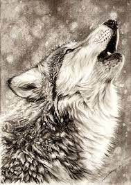 How to draw a realistic wolf. Howling Wolf Pencil Drawings Of Animals Animal Drawings Wolf Art