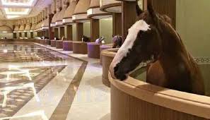 Barns with a center aisle are the easiest for the human taking care of horses. Horse Stables That Set The Standard Designer And Dreamy