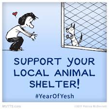 Pop Into Your Local Shelter We Dare You To Not Fall In Love Adoptdontshop Dog Mommy Mutts Comics Cartoon Dog
