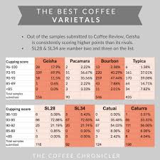 The Best Coffee Beans In The World The Ultimate Guide