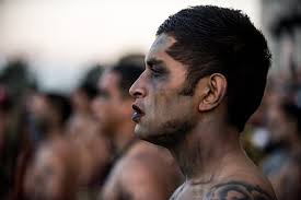 Teddy Wade's Photos & Galleries