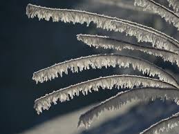 We did not find results for: Eiszapfen In Den Tropen Ungewohnliche Kalte In Brasilien Kurios National Vienna At