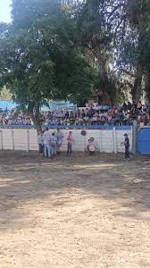 Domaduras Criadero el destrozo 2 was live.