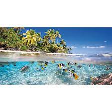 Top Fin Beach Reversible Aquarium Background Aquarium Backgrounds Beautiful Places To Travel Cool Places To Visit