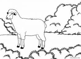 This personalized greeting card is the best way to convey emotions. Sheep Shepherd Drawing Shefalitayal