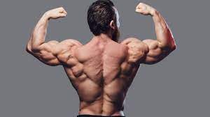 At the end lower the bar back to the floor, maintaining. The 7 Best Back Exercises For Strength And Muscle Gain Barbend