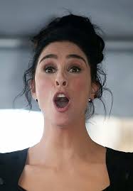 Sarah Silverman Nude LEAKED Photos & Sex Scenes Compilation
