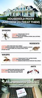 The good news is that you can quickly narrow down the possibilities by searching online for information regarding the most common pests in your. 8 Do It Yourself Pest Control Ideas Pest Control Pests Diy Pest Control