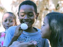 Colônia de Férias proporciona diversão e lazer para crianças cedrenses