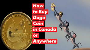 There are a plethora of ways to buy cryptocurrency in canada. How To Buy Doge Coin A Guide For Canadians Youtube