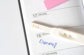 Eisprung Anzeichen So Erkennst Du Deine Fruchtbaren Tage