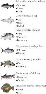 Void getcacheparameters(contexttype type, filepath* cache_path v503 this is a nonsensical comparison: Medicina Free Full Text Ige Mediated Fish Allergy In Children Html