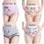 Mesh Maternity Underwear
