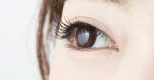 カソーダは効果あるのか 効果があった体験談や使い方 顔への使用は自己責任 ママズアップ 顔 使い方 美容