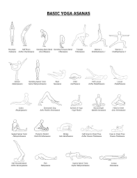 Yoga Poses For Beginners Easy Yoga Workouts Basic Yoga Poses Basic Yoga