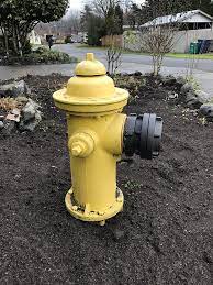 We did not find results for: File Yellow Fire Hydrant 2019 12 07 Jpg Wikimedia Commons