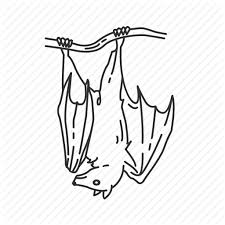 Bat Creepy Bat Fruit Bat Hanging Bat Pteropodidae Small Land Mammal Upside Down Bat Icon Download On Iconfinder Hanging bat tutorial (see above). bat creepy bat fruit bat hanging bat pteropodidae small land mammal upside down bat icon download on iconfinder