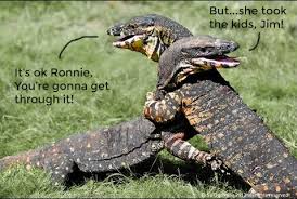 It S Gonna Be Ok Ronnie Album On Imgur