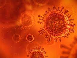Even if you get the latest vaccine, you can still come down with the flu particularly during autumn and winter. Neocov S Potential Danger To Humans Requires Further Study Who The Economic Times