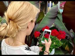 Fill out and print an application for a social security card; Plantsnap Free Plant Identifier App Apps On Google Play