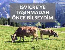 Isvicre Ye Tasinmadan Once Bilseydim Isvicre Lozan Okul
