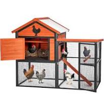 Amazon.com: Gallinero al aire libre de 65 pulgadas, jaula ...