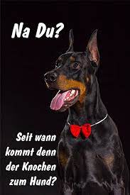 Ich hätte ihr geantwortet hey cool, dann gehen wir samstag da mal hin! oder so. Melis Folienwerkstatt Schild Warnschild Achtung Dobermann Seit Wann Kommt Denn Der Knochen Zum Hund Hund Hundeschild 30x20cm Hartschaum Aluverbund S25q Amazon De Kuche Haushalt Wohnen