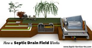 How to fix a slow draining sink or bathtub yourself. How A Septic Drain Field Works Septic Services Inc
