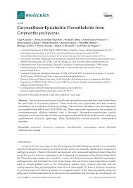 Image result for Voacanga pachyceras