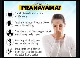 Yoga Teacher Basics Of Pranayama Pranayama Pranayama Yoga Teaching Yoga