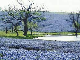 We did not find results for: Chloe S Flowers Home Facebook