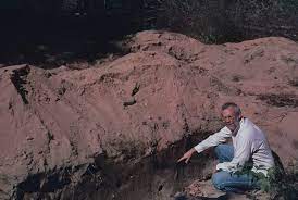 I go over the cactus hill site in virginia. Cactus Hill Archaeological Site Encyclopedia Virginia