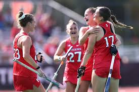 Image result for Emilia hockii