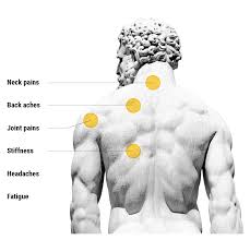 A severely pulled trapezius, rhomboid, or latissimus dorsi muscle will take between 2 and 3 months to completely heal. Back Muscles Diagram For Massage Muscle Massage Gun Professional Handheld Vibration Massager Device With 5 Adjustable Speed 6 Massage Heads Cordless Electric Percussion Full Body Muscle Massage Equipment Color A Buy
