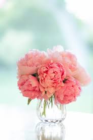 Maybe you would like to learn more about one of these? Peonies Flowers Pretty Flowers Beautiful Flowers