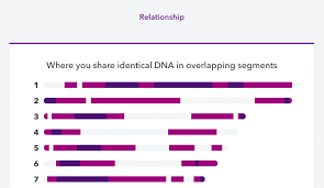 Viewing Shared Matching Segments Of Dna 23andme Customer