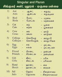 Pin On Learn English Through Tamil Language