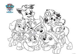 Coloriage Sourire Des Personnages De Pat Patrouille Min Dessin A Imprimer Coloriage Pat Patrouille Dessin Pat Patrouille Coloriage Paw Patrol